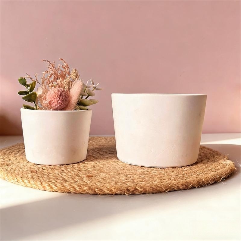 Vaso Redondo de Gesso para Pla - Echeveria Succulent avaliação e preço