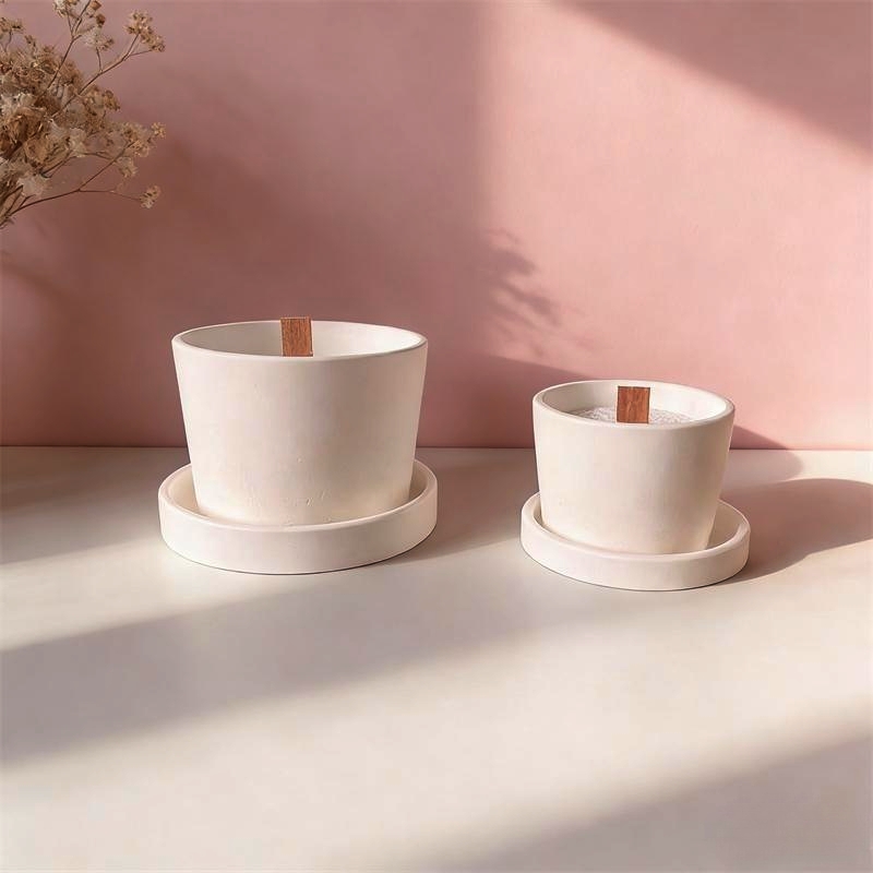 Vaso Redondo de Gesso para Pla - Echeveria Succulent avaliação e preço
