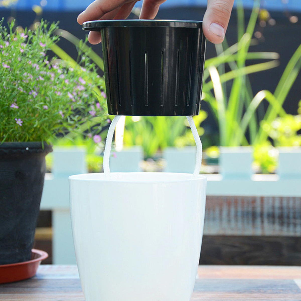 Vasos de flores com rega autom - Echeveria Succulent avaliação e preço