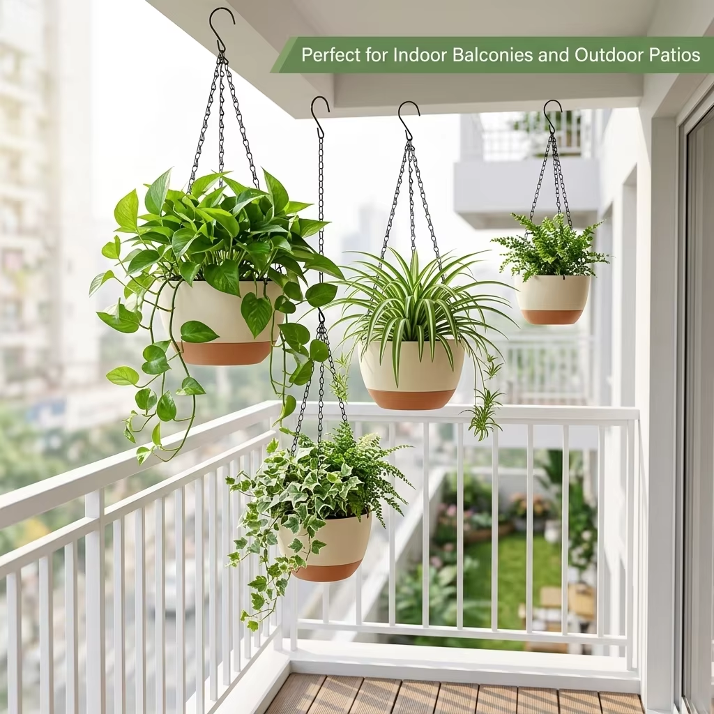 Vasos de Flores Modernos de Du - Spider Plant Hanging avaliação e preço