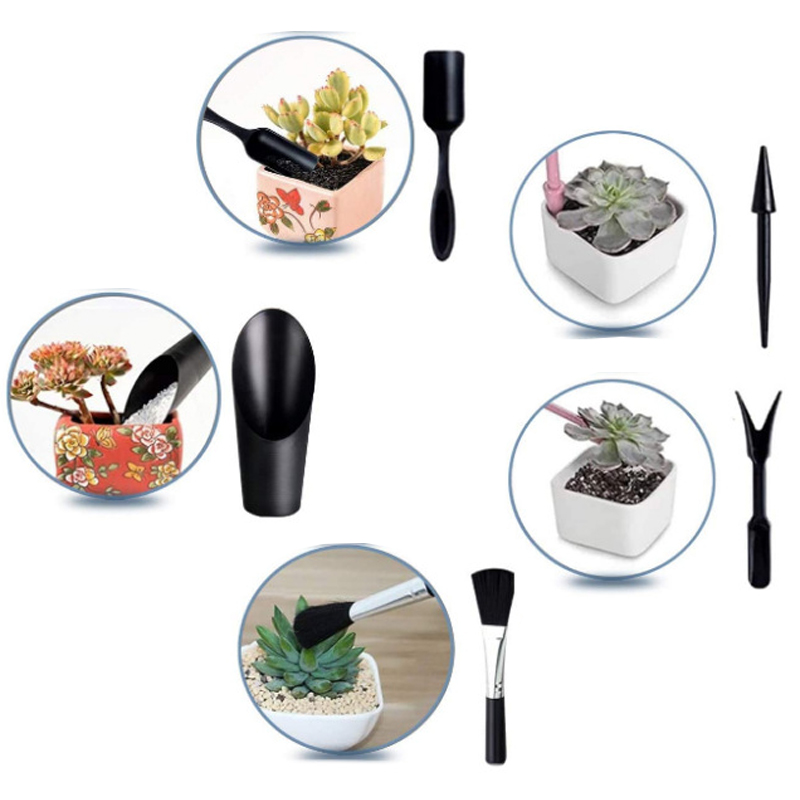 Mini conjunto de ferramentas d - Echeveria Succulent avaliação e preço