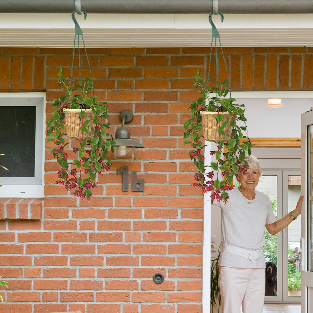 5 Peças Ganchos Versáteis para - Spider Plant Hanging avaliação e preço