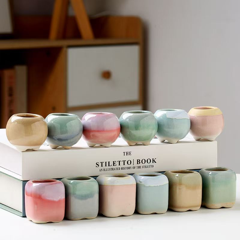 6 pçs mini vaso de flores sucu - Echeveria Succulent avaliação e preço