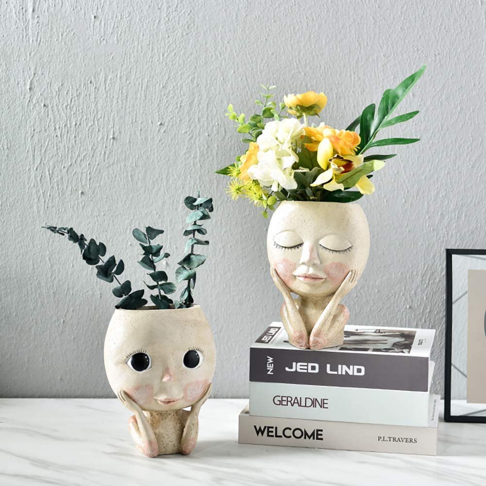Plantador de flores com cabeça - Echeveria Succulent avaliação e preço