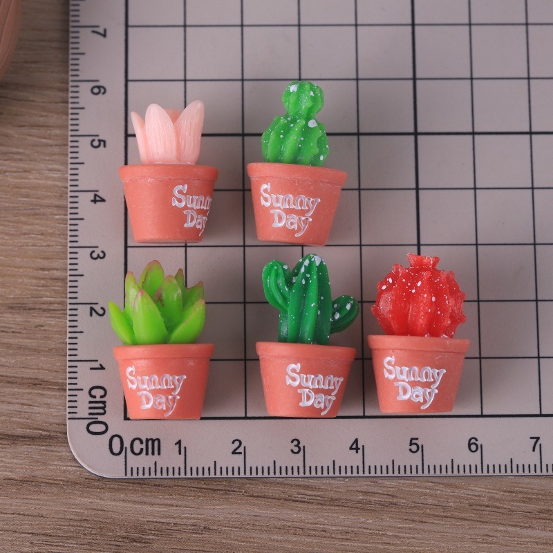 5 pçs simulação suculenta vaso - Echeveria Succulent avaliação e preço